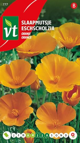 Eschscholtzia Orange Graines - Jolies fleurs en forme de pavot