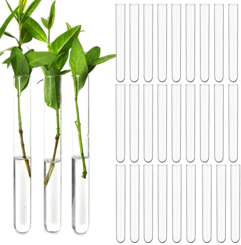 Asaisimg 30Pcs 15ml Clear Plastic Test Tubes for Plant Propagation, Hydroponic Flower Vases, Round Bottom Tubes for Science Experiments, Candy Beads Storage, Home Office Wall Decor (6.3, 0.59 Dia)