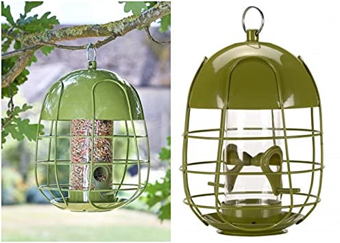 Chapel Wood Acorn Steel Squirrel Proof Seed Feeder Green
