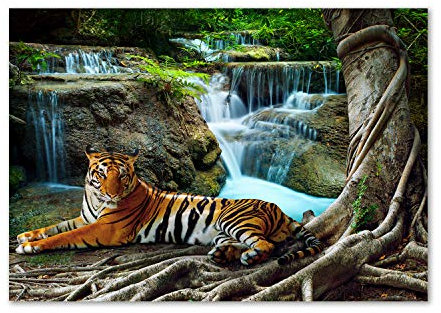 Tulup Impression sur Verre de 100x70 cm Image Tableau Photo décorative panoramique pour la Cuisine et Le Salon - Animaux - Chute d'eau du Tigre - Brun