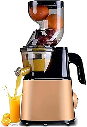Juicermaskin,Professionell Slow Juicer Grönsaksfruktjuicermaskin Två hastigheter Tyst motor andle;60dB Masticating Juicer Extractor