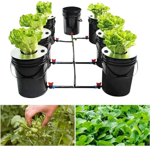 SHAIRMB DWC-Hydroponiksystem, 5 Gallonen, 7 Eimer Umwälz-Anbauset, Hydrokultur-Anbausystem, Tiefwasserkultur Umwälz-Anbauset, Hydroponik-Anbausystem,7 Bucket