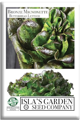 Bronze Mignonette Butterhead Lettuce Seeds for Planting (Lactuca sativa) – 1000+ Non-GMO Heirloom Seeds by Isla’s Garden Seeds, Tender Bronze-Tinted Heads Ideal for Garden Beds, Containers & Salad Mix