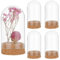 PH PandaHall 4pcs Glass Display Dome Cloche, Glass Bell Jar with Cork Base Small Glass Bottles Dome Decorative Jars Display Case for Wedding Flower Storage Christmas Home Party Decor, 4.7x9.2cm