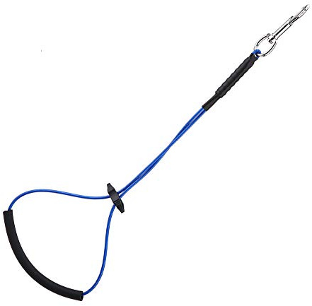 Ejoyous Anello per Toelettatura Cani, Imbracature per Cavezza da Tavolo per Toelettatura Animali Domestici Imbracatura per Toelettatura per Cani Corda di Ritenuta per Toelettatura Cerchio