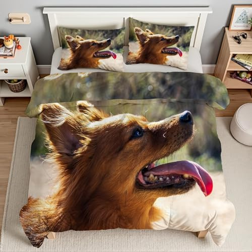 Piumino Matrimoniale Animali Trapunte Shetland Piumone Imbottito Resistente Lavabile, Super Morbida Trapunta, piumini 240x260 cm in Microfibra Reversibile e 2 Federa 50x80 cmT2016