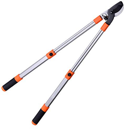 Coupe-branches Extensible, Coupe-branches Extensible, Coupe-feu en Acier SK-5, Capacité de Coupe de 2 cm Maximum