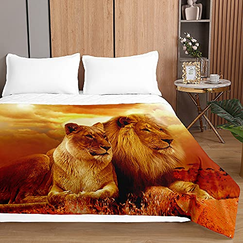 Oduo León Colcha de Verano Colcha Bouti Colcha Acolchada para Cama Suave - Edredón Fresca Lavable para Primavera y Entretiempo Individual Matrimonio Infantil (Naranja Atardecer,230x260cm)