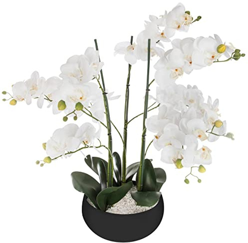 ATMOSPHERA CREATEUR D'INTERIEUR - Orchidea artificiale in ceramica nera H65cm