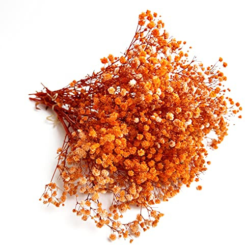 Birtlynn Preserved Baby's Breath 3 Bunches, 100% Natrual Fresh Gypsophila Long Lasting Flowers for Vase Arrangements Home Decoration Photo Props Parties and Weddings, DIY Décor-Orange