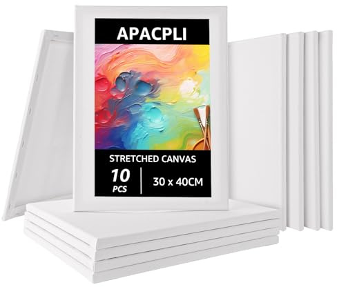 APACALI Bastidores de 10 piezas de 30 x 40 cm, lienzo para pintar, bastidores de algodón, lienzo para artistas, lienzos blancos sin ácidos para aficionados y artistas
