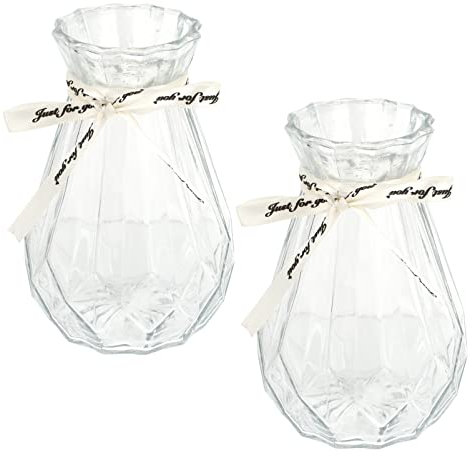 PRETYZOOM 2st Handwerkliches Glas Für Hydroponik Vase - Bodenvase Eichel n Wand Große Hyazinthen Mit Farbverlauf Hydrokulturpflanzen Und Glas Weiß