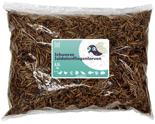 BSF Larver 1 kg (6,5 l) - Torkade svarta soldater fluglarver näringsrika snacks för reptiler, gnagare, fåglar och fisk