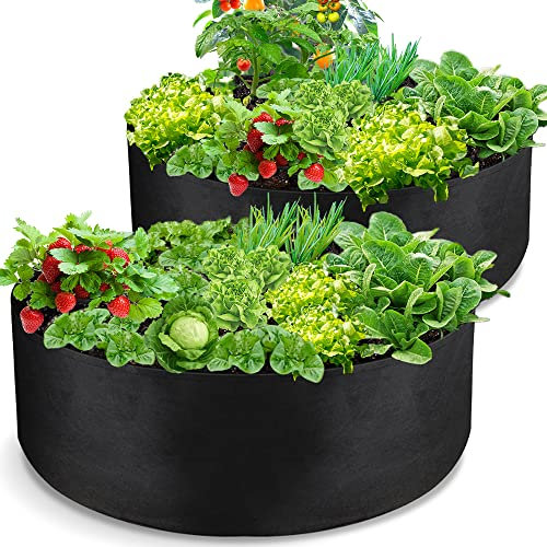 LBTING Tyg upphöjd planteringsbädd, 2 st 50 gallon växtpåsar kraftiga icke-vävda tygkrukor för grönsaker blommor