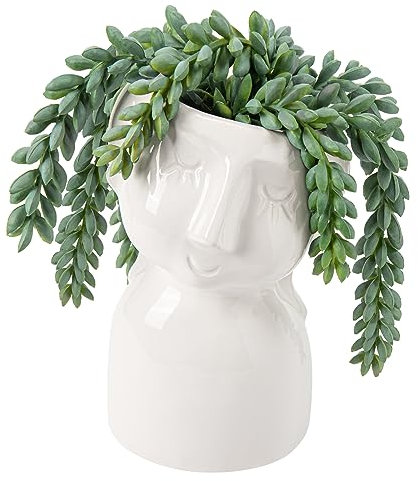 Oairse Artificial Succulent Plants Decorative Fake Plants in Ceramic Pots Realistic String of Succulent Plants Faux Plant Indoor for Home Office Kitchen Bathroom Desk Shelf Décor