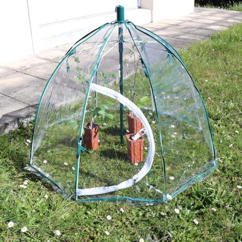 Mini-Serre Cloche déployable 110x75 cm – Système Parapluie Pratique