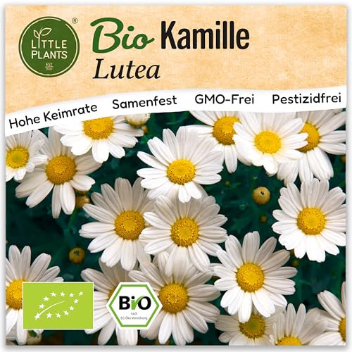 Little Plants BIO Kamille Samen 3000 Kamillesamen Lutea Kräutersamen Samenfest für Kräutergarten Kräuter Samen Küchenkräuter für Küche, Balkon und Garten
