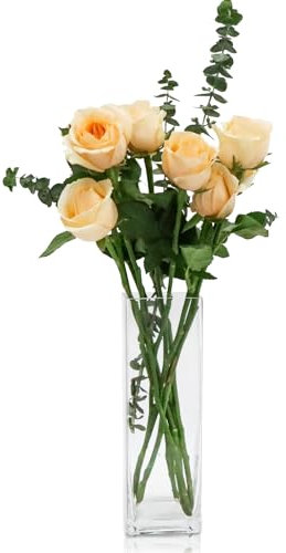 DRERIO 25 cm Glasvase Gross Blumenvase Modern Bodenvase Groß, Glas Vasen Durchsichtig Vase Glas Hoch Rechteckige Vasen für Orchideen, Rosen, Tulpen, Pampasgras, Tischdeko, Kerze (8 L*8 B*25 H cm)