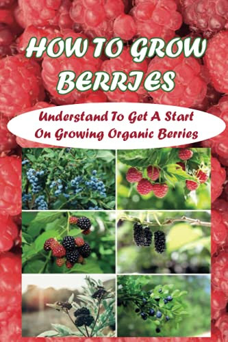 How To Grow Berries: Understand To Get A Start On Growing Organic Berries: Growing Berries In A Pot
