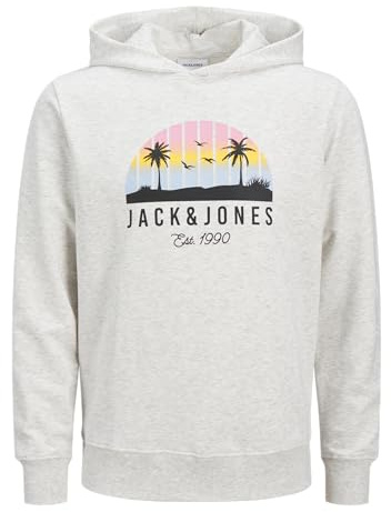 Jack & Jones Jjpalm Sweat à Capuche, Blanc-Gris, M