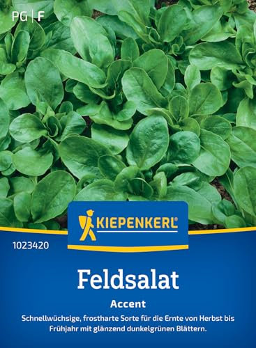 Kiepenkerl Feldsalatsamen Accent 1023420 - Schnellwüchsige Salatsamen für Herbst bis Frühjahr, Ideal für Beete & Winterernte - Nussiges Aroma, Gemüsesamen für 14-16 lfd. Meter