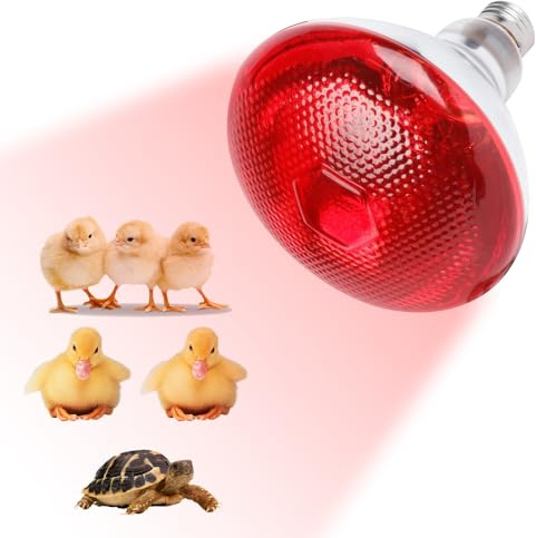 XUXLEKK Lampada Infrarossi Riscaldante, 250W Reptile Lampada Riscaldantes, Lampadina Riscaldante E27, Lampadas per Tartarughe di Terra, per Polli, Cani, Maiali, Tartarughe, Lucertole