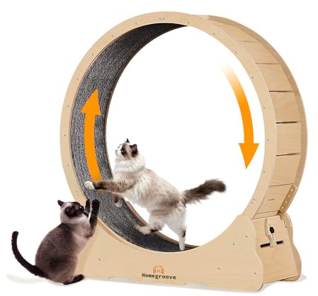 Homegroove Rueda de ejercicio para gatos, rueda de 132 cm para gatos de interior, rueda de ejercicio-cinta de correr para gatos con alfombra extraíble para pérdida de peso y promoción de la salud en