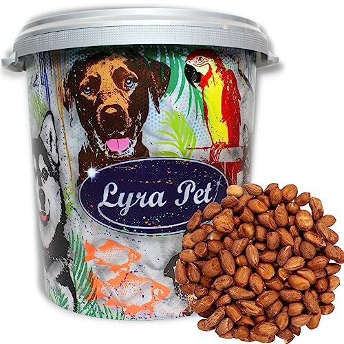 Lyra Pet® | 10 kg Erdnusskerne mit Haut + 30 L Tonne | HK Argentinien | Wildvogelfutter für Ganze Jahr | Ballaststoffe & Energie für Wildvögel | Fettfutter für Körnerfresser | Ideal im Sommer & Winter