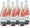 Vulkangewächs Kaiserstuhl Rosé trocken - Gault & Millau 2025 Prämierung - Spätburgunder Rosé-Wein trocken, ein Hauch von Erdbeere, leicht & lebendig - Anbaugebiet Kaiserstuhl, Baden (6 x 0,75 l)