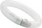 TL Circline BL368 G10q 32W Blacklight BAILEY 50200336033