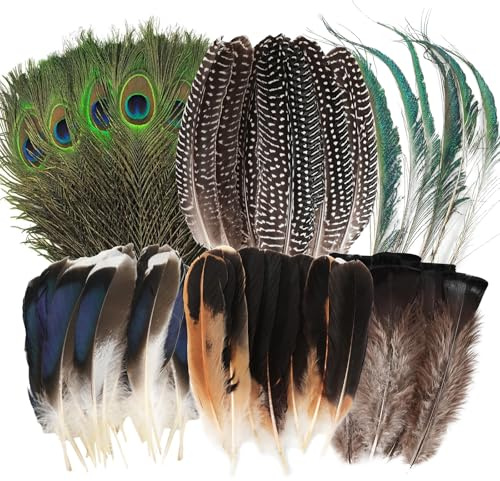 MWOOT 48 Piezas Plumas Naturales, 6 Estilos Plumas de Pavo Real Plumas de Cola de Faisán Plumas de Pavo y Pato para DIY Manualidades, Plumas Decorativas para Mascarada de Carnaval Boda Fiesta