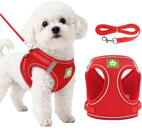 DOINEUFL Set di pettorina e guinzaglio per cani, in morbida rete riflettente, traspirante, leggera, con fibbia di sicurezza, per cani di piccola e media taglia, gatti, cuccioli (rosso, XS)