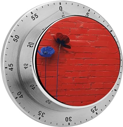 Minuteur de cuisine mural en brique rouge, horloge manuelle de 60 minutes avec alarme forte, dos magnétique, minuteurs de cuisine mécaniques, pas besoin de piles, compte à rebours pour la cuisson de