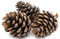 1Kg Natural Pine Cones 5 to 7cm Christmas Wreath Garlands Decoration Dried Floral Arrangements
