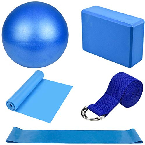 Dokpav Kit de Accesorios para Pilates Set de 5 Bandas Elásticas Fitness,Goma elasticas Musculacion,Bloque de Yoga,Pequeña Pelota de Pilates,Bandas de Resistencia para Yoga,Pilates,Fitness (Azul)