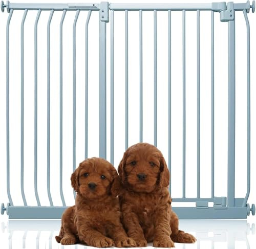 Bettacare Puerta Extra Alta Elite a Presión para Perros, 116cm - 125cm, Gris Mate, Extra Alta de 100cm de Altura, Puerta para Mascotas con Ajuste a Presión para Perros y Cachorros