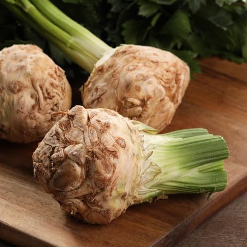 semillas de apio nabo, orgánicas, raras de perennes resistentes exóticas 20pcs