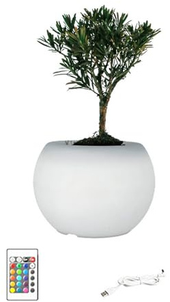 jiingekk Vasi da fiori luminosi a LED per piante da interno illuminazione multicolore e accessori da giardinaggio decorativi per interni fioriera da giardinaggio con luce