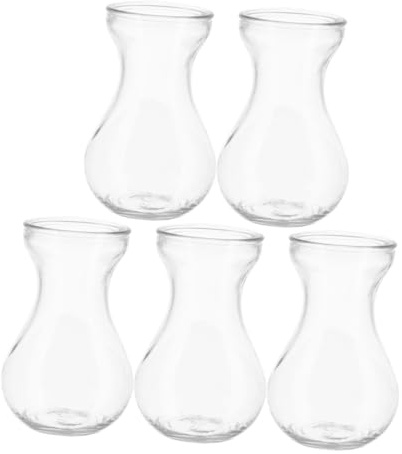 Mikikit Vases à Fleurs pour Décoration Intérieure Design Créatif Fond Plat Lot de 5 en Verre Transparent pour Plantes et Fleurs de Table