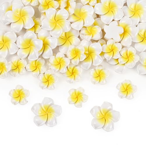 Hanycon 50PCS Resin Flower Assorted Colors Mini Plumeria Flower Flatback Flowers for Bridal Hair Clips Headbands Dress DIY Accessories Wedding Party Supply Table Decorative