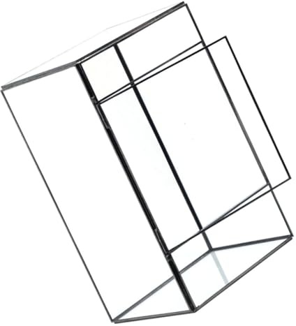 BESPORTBLE Terrarium Géométrique pour Plantes Conteneur Transparent DIY pour Décoration de Table Salon