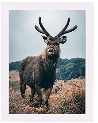 Rahmendesign24 Cornice per poster Milano 60x60 bianco (opaco) portafoto, cornice intercambiabile, cornice per foto, cornice per puzzle