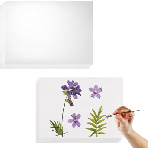 QoTang 36 stycken raderningspapper för blompress, mycket absorberande och återanvändbart raderpapper 12 stycken blompresspapper (30 x 20 cm) 24 stycken foderpapper, släckningspapper