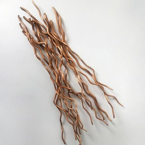 Branches de Saule Bouclé Séchées Naturelles, 58 cm, 15 tiges Brindilles Ondulées Décoratives pour Décoration Intérieure Rustique (Or Clair)