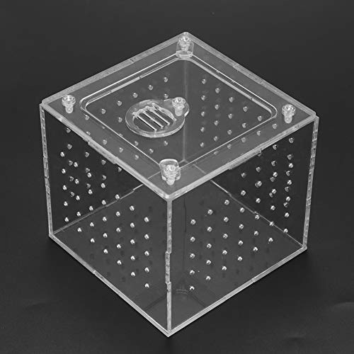 Akozon Cría de Reptiles 1 ud. Alimentador de Terrario para Reptiles Serpientes Cría de Lagartos Casa Acrílica Suministros para Mascotas/y Anfibios/terrarios