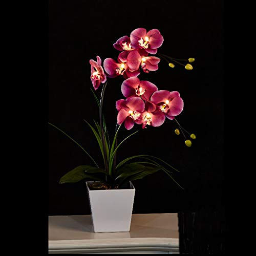 FLCSIed Floristlighting LED Lighted Artificial Orchid Arrangement-Battery Operated Orchid Pot with 9 Lights (Purple)