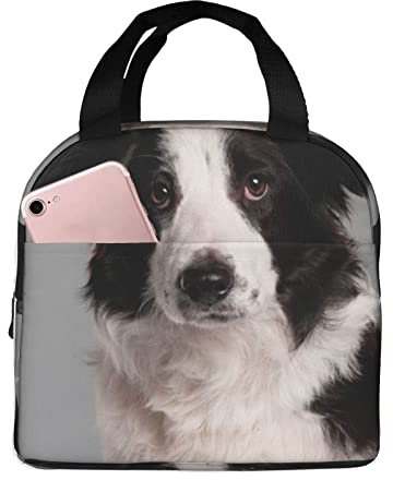 XVBCDFG Bolsa de almuerzo para perros Border Collie para oficina al aire libre, papel de aluminio portátil, aislamiento grueso y bolsa Bento para mantener fr