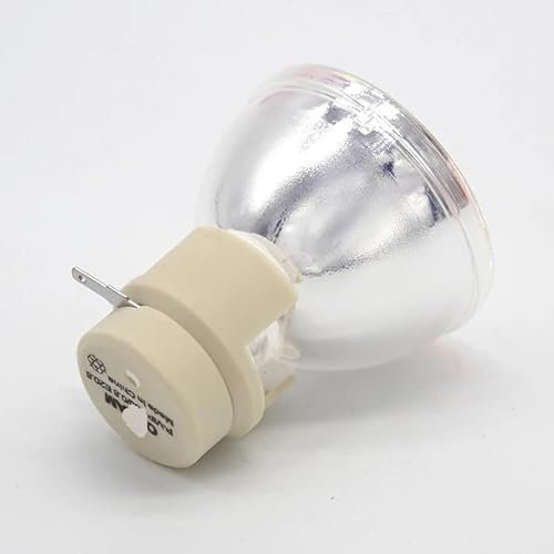 ROBAUN Accesorios para herramientas Lámpara de proyector compatible BL-FP190E/ SP.8VH01GC01 Compatible con Optoma HD141X/ HD26/GT1080/ S316/S312