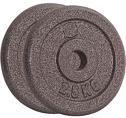 RIP X Pair of Standard 1 Weight Plates in Cast Iron - 2.5kg