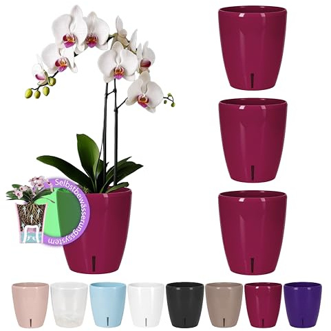 Santino Set di 4 vasi autoirriganti con sistema di stoppino e indicatore del livello dell'acqua per interni, vaso per orchidee D 16,5 cm (viola – 3,3 l)